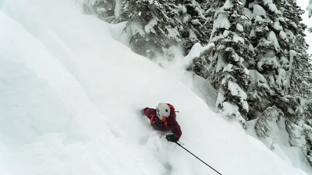 Skier weaving through snowy trees